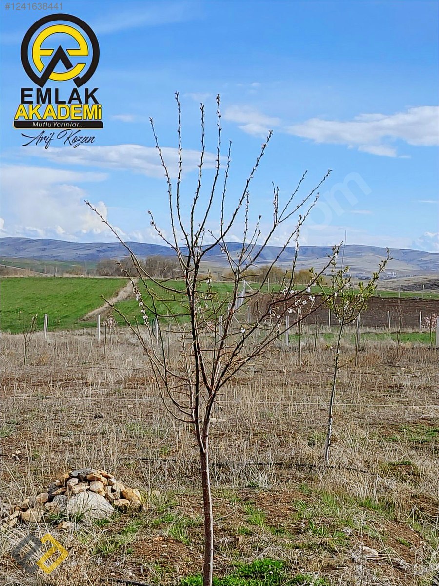 DİVANLI SATILIK BAĞ EVİ VE ARSASI - YOZGAT MERKEZ fotoğraf 14